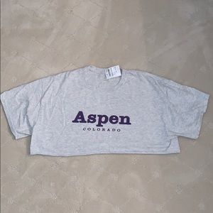 Brandy Melville Aspen Colorado crop